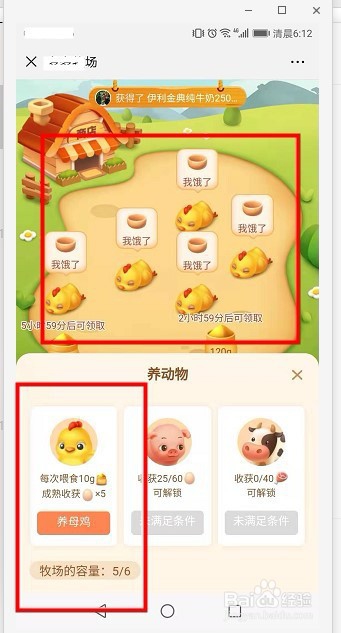 多多牧场收获鸡蛋数量并继续领养母鸡流程