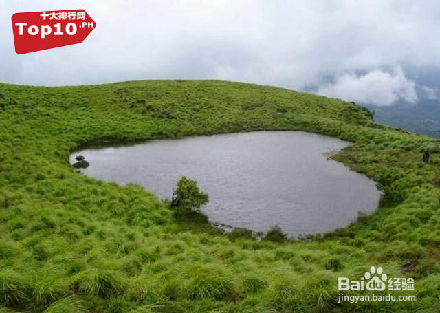 盘点十大奇葩有趣的心形物体