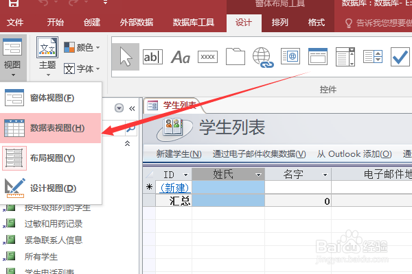 Access的视图切换