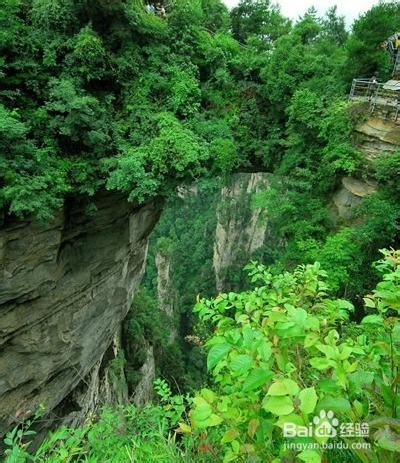 张家界自助游网站