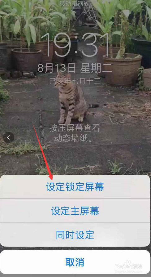 苹果版抖音如何设置动态壁纸