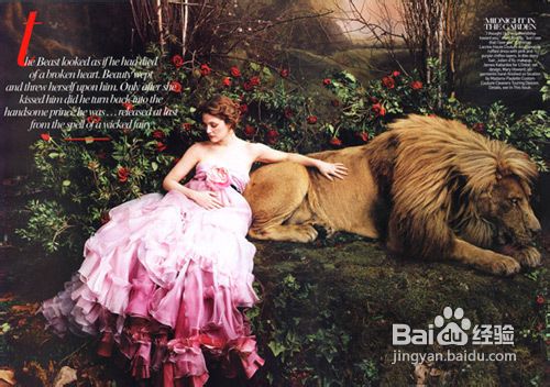 婚姻宝典[19]如何正确摆放婚纱照