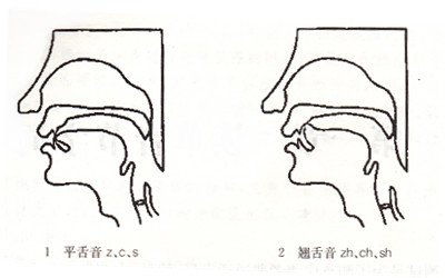 平舌音有哪些