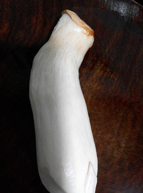 煎黑胡椒培根杏鲍菇卷