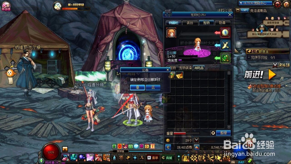 DNF宠物更名卡怎么用？