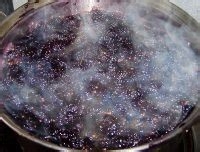 菓乐拼桑葚果汁的做法