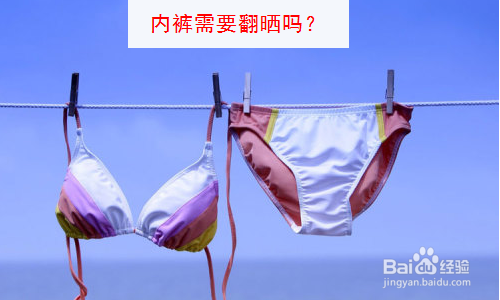 干货分享之内裤的卫生常识