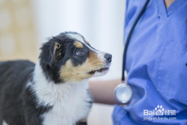 女性应该怎样保护心脏？