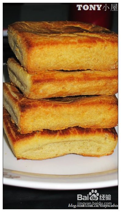 又当江南杨梅熟----采杨梅去！附杨梅的4种最in的吃法