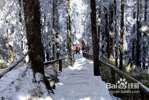 四川西岭雪山自助游攻略