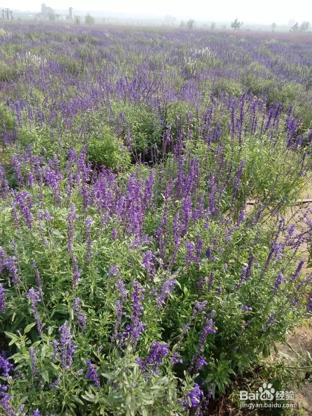 2019年寒假带小孩子去哪里玩好