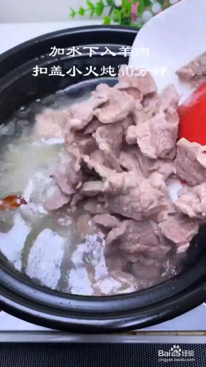 如何制作羊肉萝卜汤