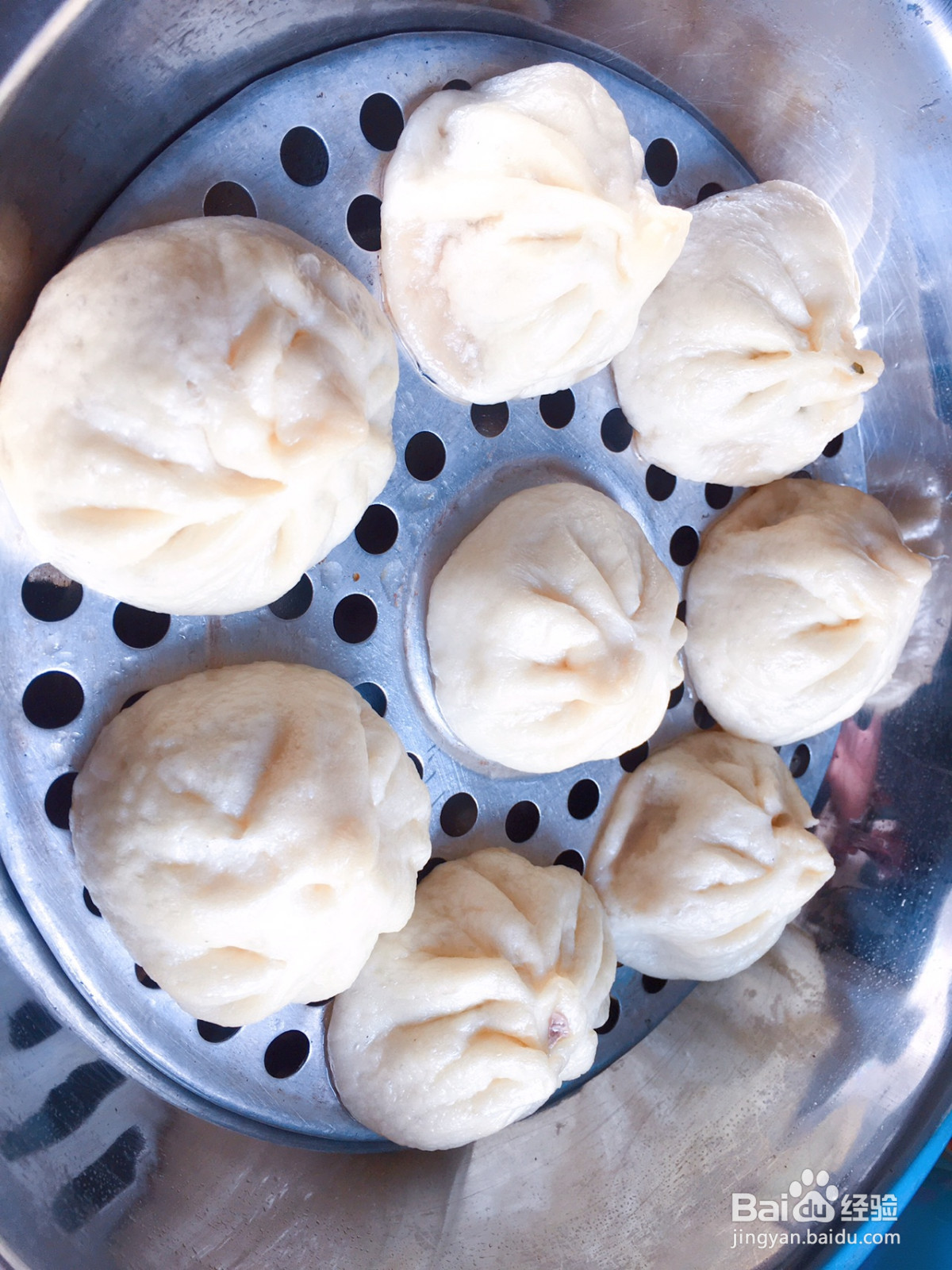 鲜肉包子的做法