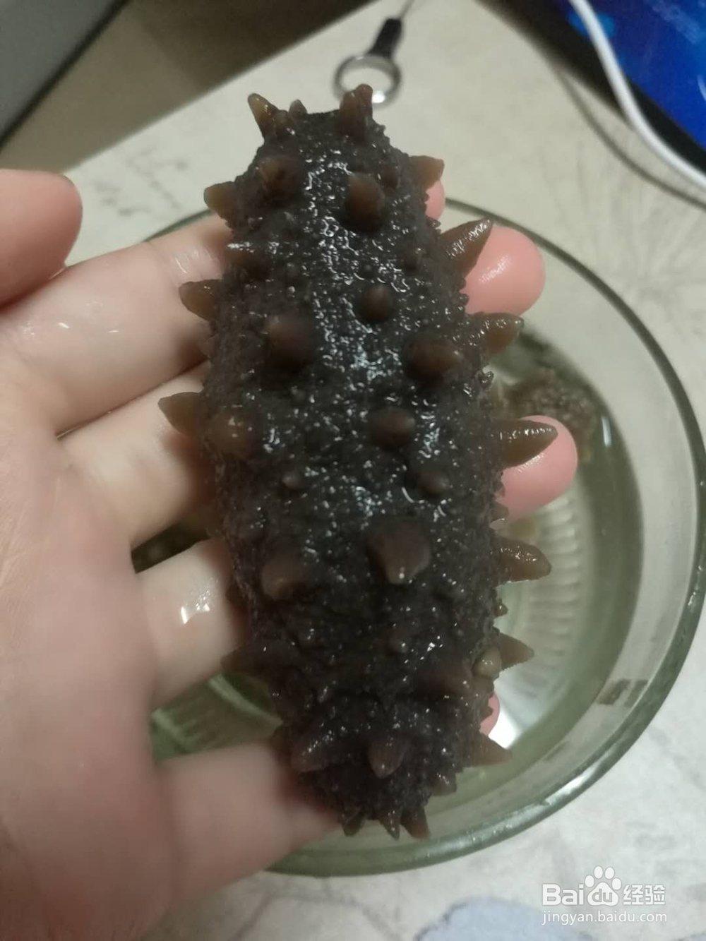 怎么样泡发出最好的海参