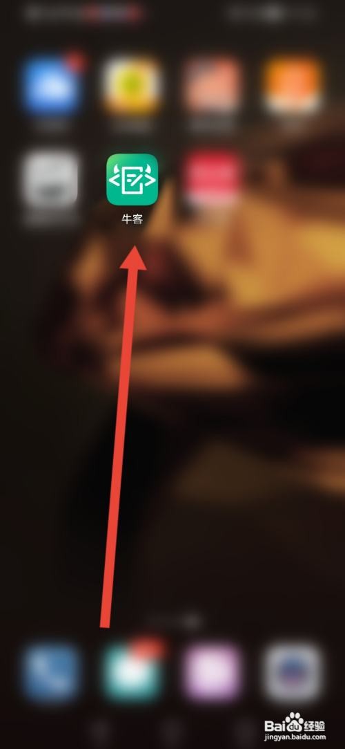 牛客如何发布动态