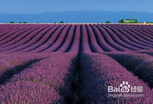 去墨尔本旅游多少钱