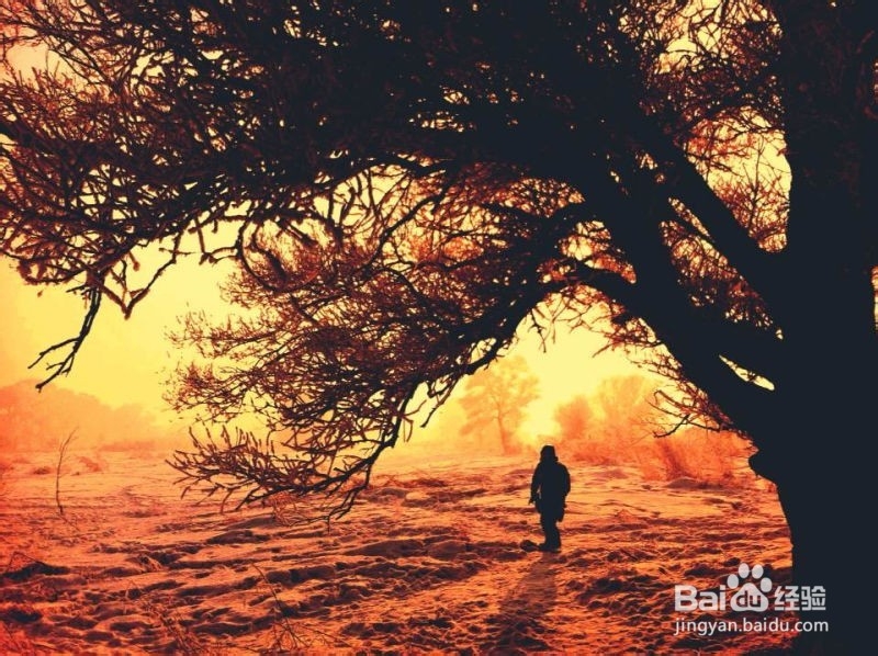 手机摄影技巧：[6]雾凇拍摄小贴士