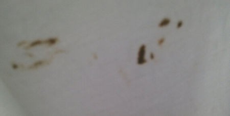 惊惊！！！洗发水的新用途，超有用。