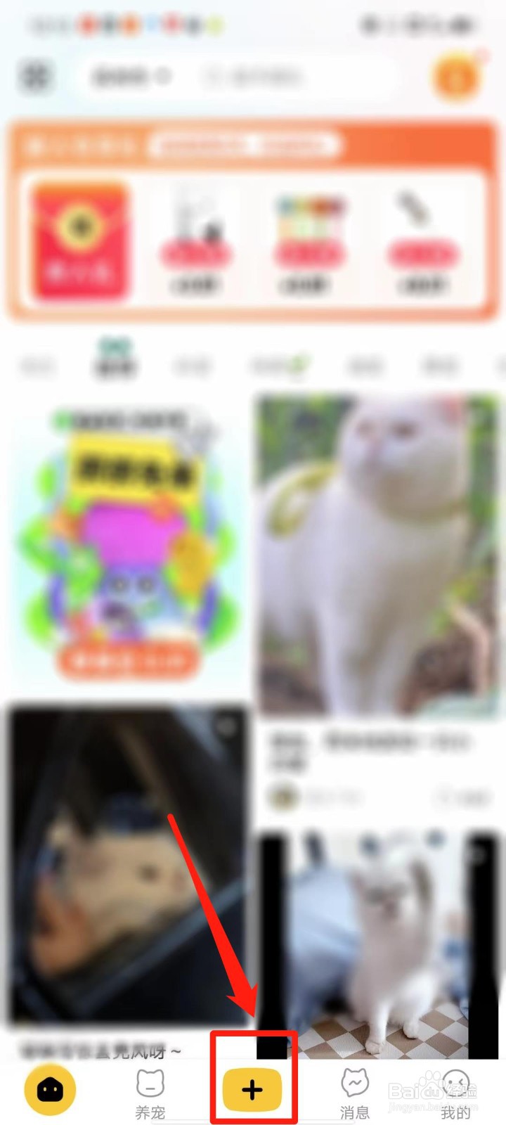 宠胖胖APP怎么发布动态