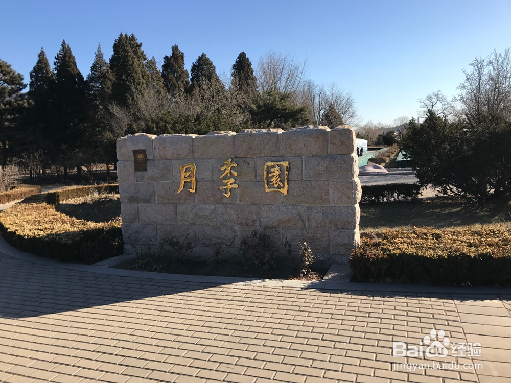 如何游览北京植物园-(卧佛寺)