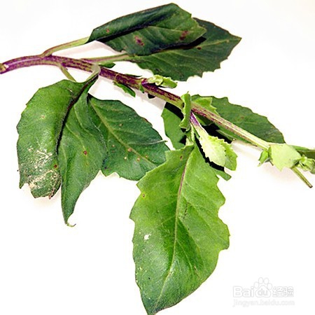 祛痘从食疗调理身体开始