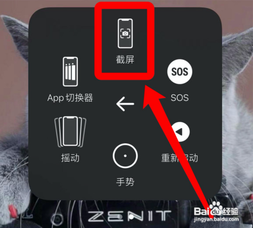 苹果手机截屏怎么截?