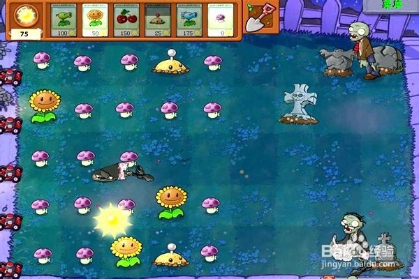 植物大战僵尸通全关的攻略。（十一）