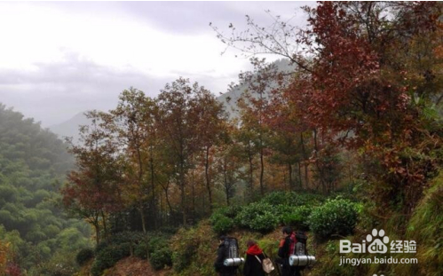 凤凰古城二日游攻略