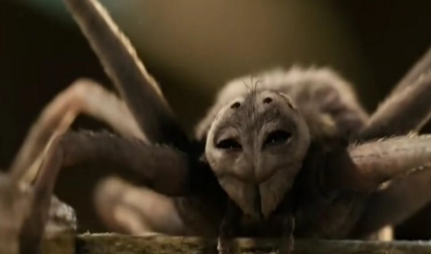 夏洛的网主人公是谁