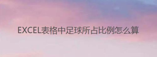 EXCEL表格中足球所占比例怎么算