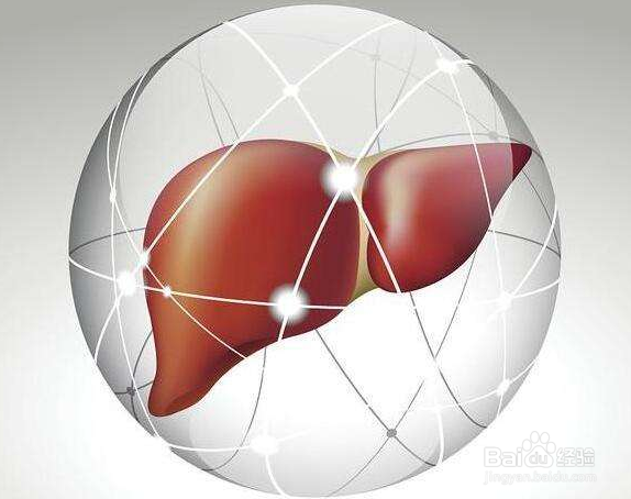 滑菇功效与作用及食用方法