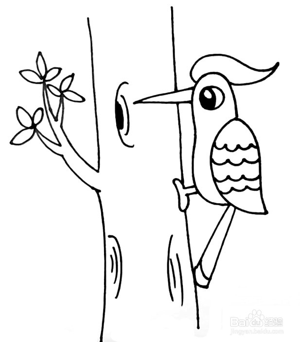 啄木鸟简笔画 分步画法
