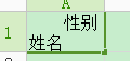 office之Excel使用小技巧：[1]单元格设置斜线