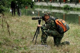 2015全国2卷高考作文“谁最有风采”怎么写