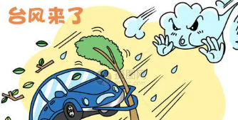 台风来了怎么发朋友圈?#校园分享#