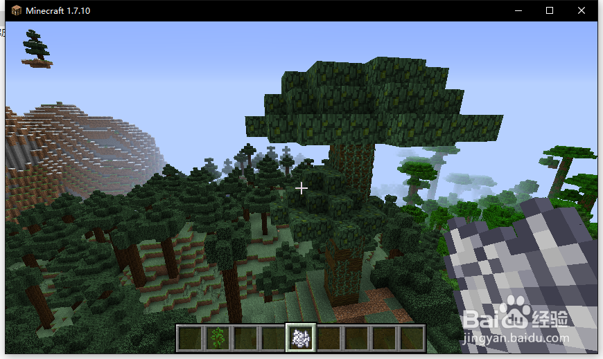 我的世界巨形树教程