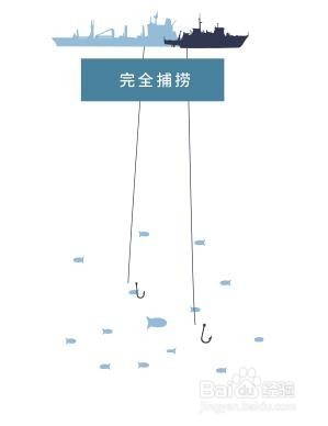 野生捕捞的海鲜评估方法