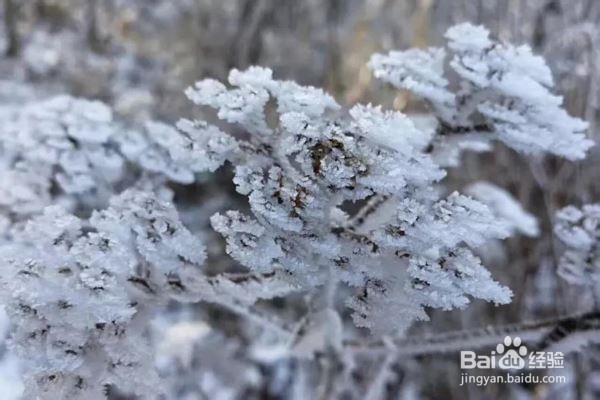 冬天窗台流水怎么办