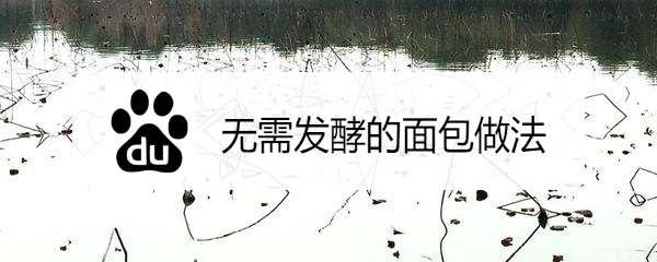 <b>无需发酵的面包做法</b>