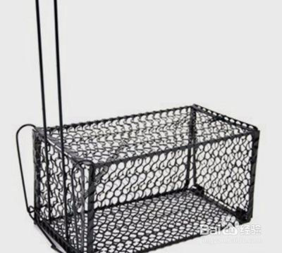 房间有老鼠如何灭鼠？