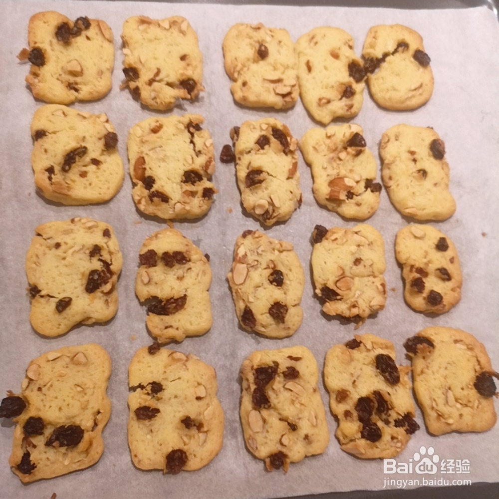 孩子爱吃的葡萄干坚果曲奇