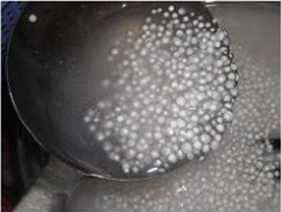 芒果椰奶西米露