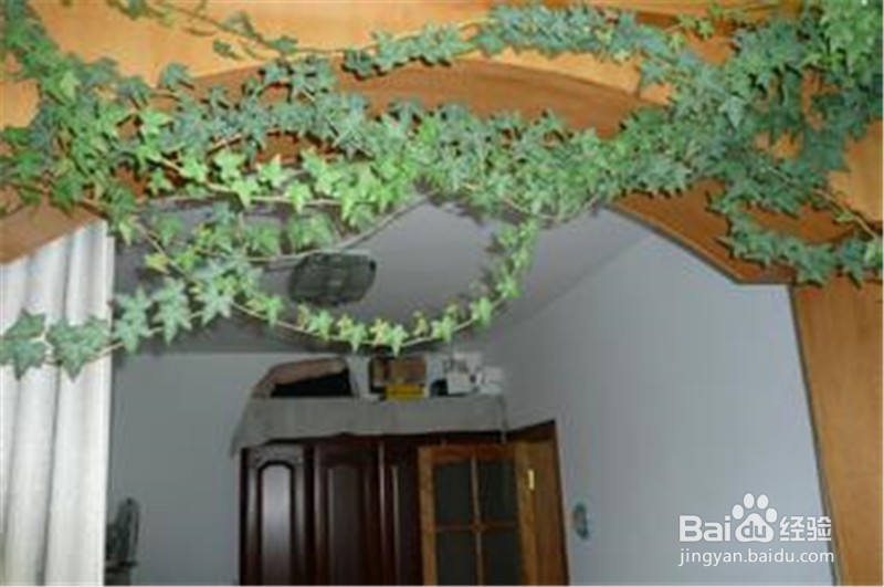 要养好盆花,需要注意适时换盆换土