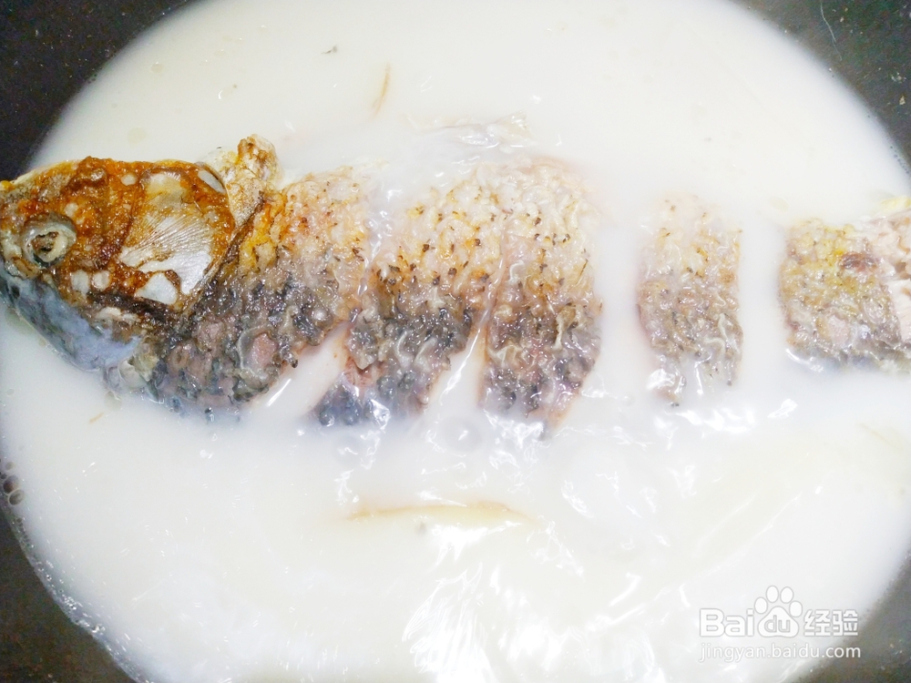 鲜美的鲜浓鲤鱼汤怎么做?