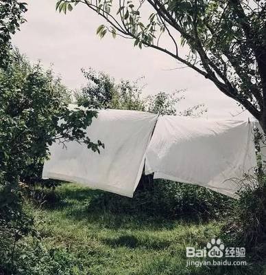 被子上的螨虫怎么去除