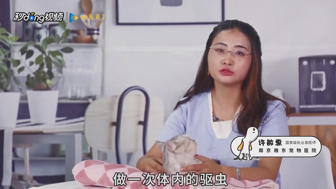 猫咪怎么驱虫？