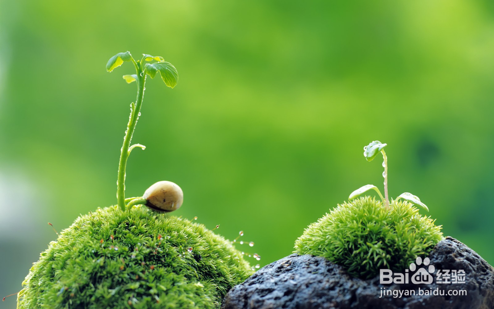 英语书写中应注意的书写中“移行”规则