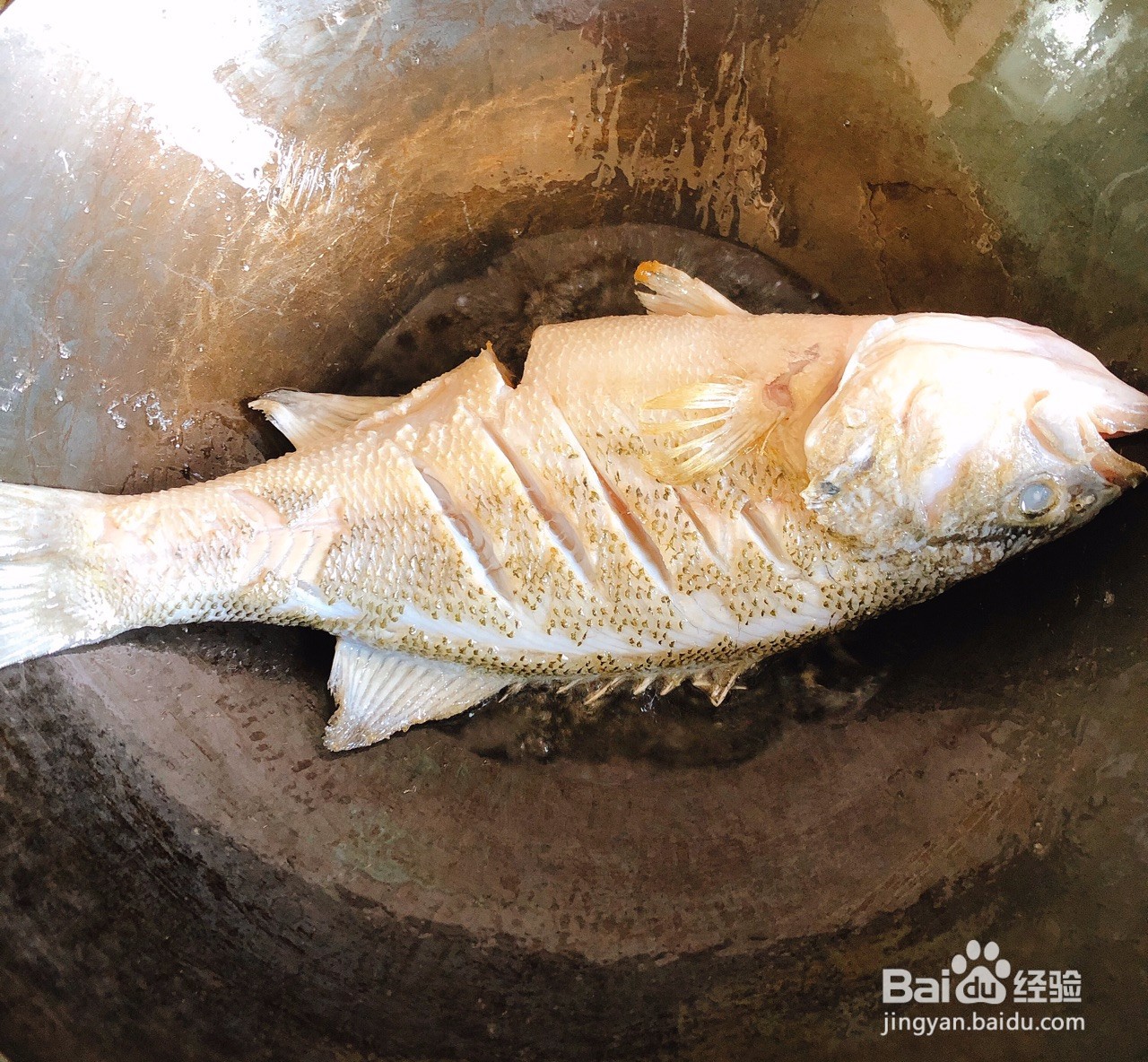 红烧鲈鱼的做法