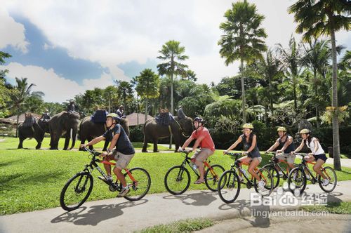 十一月去哪里旅游好？请考虑到巴厘岛
