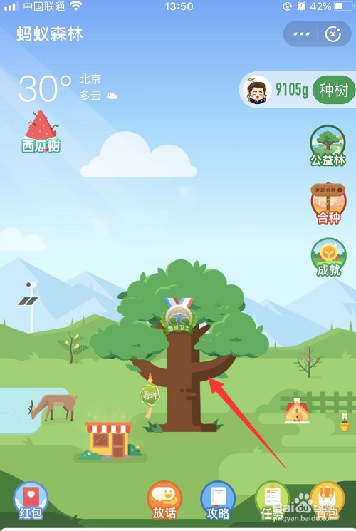 支付宝蚂蚁森林中树上的标签怎么取下来
